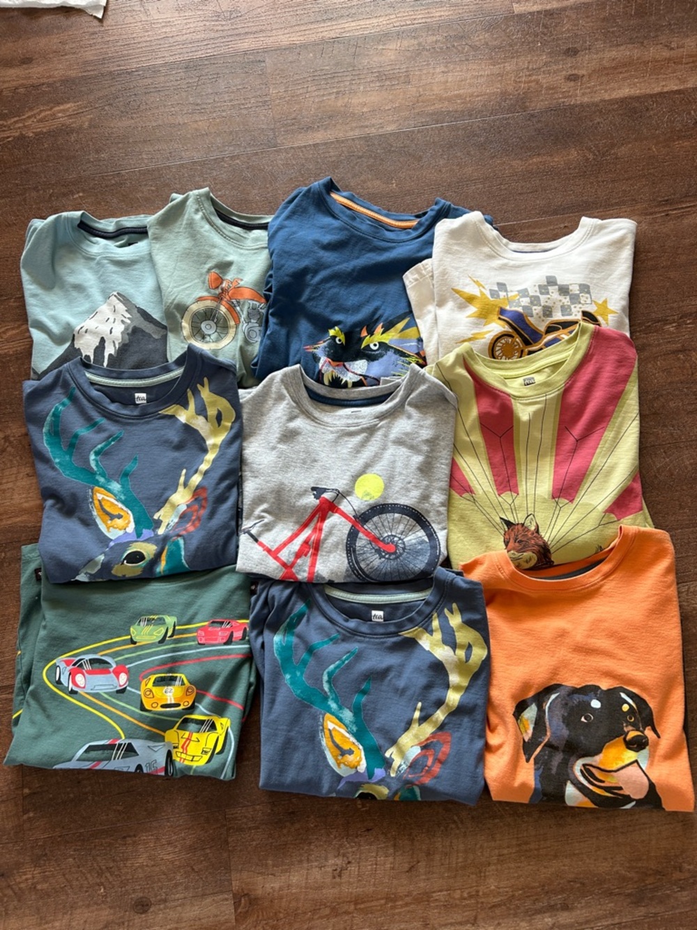Bundle of Ten Boy’s Long Sleeve T-Shirts from Tea Collection, Size 10